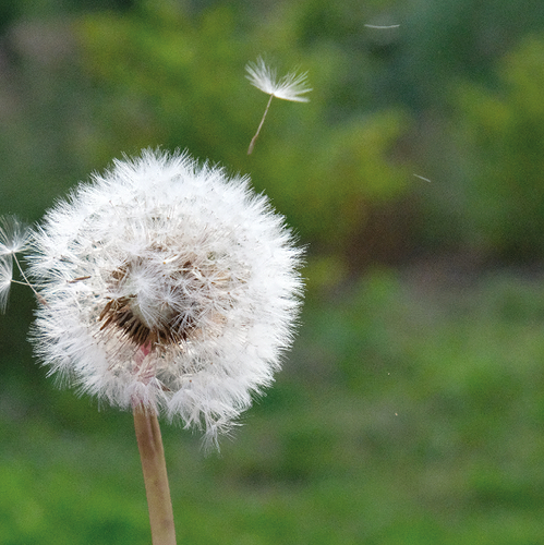 Frischer Wind